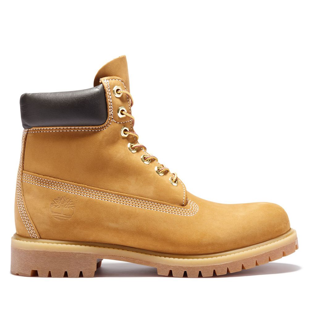 Botas de Nieve Timberland Hombre 6-Inch Premium Waterproof Marrones - Chile NUG-823597